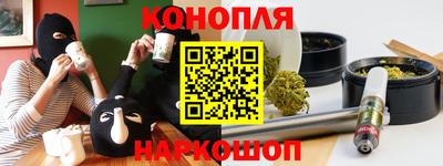 spice Гатчина