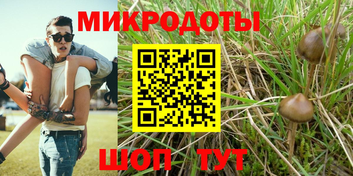 Галлюциногенные грибы Cubensis Орск