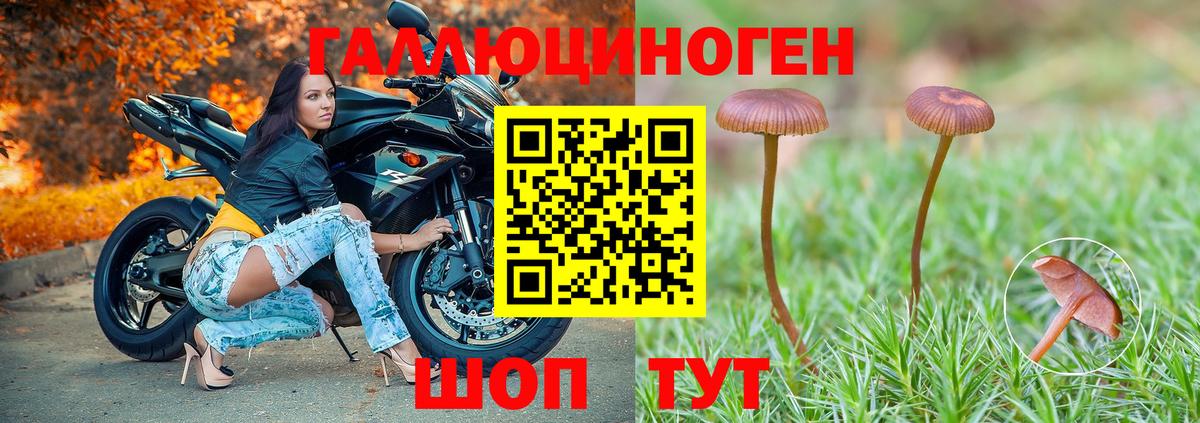 Орск  Псилоцибиновые грибы Psilocybe  Вход с VPN 